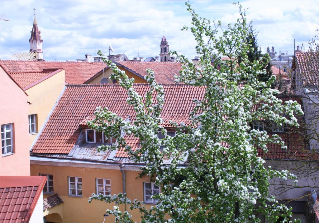 Old Town Apartment Antokolskio VNO Esterno foto